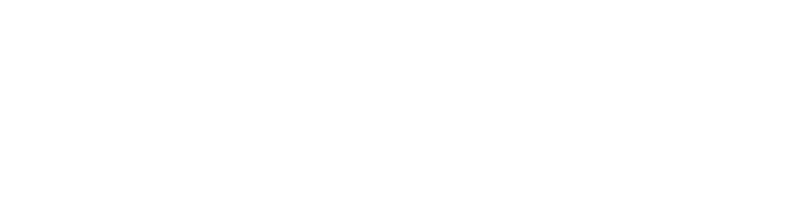 Nadréa Concept - Logo blanc horizontal